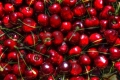 cerise_hdr_2